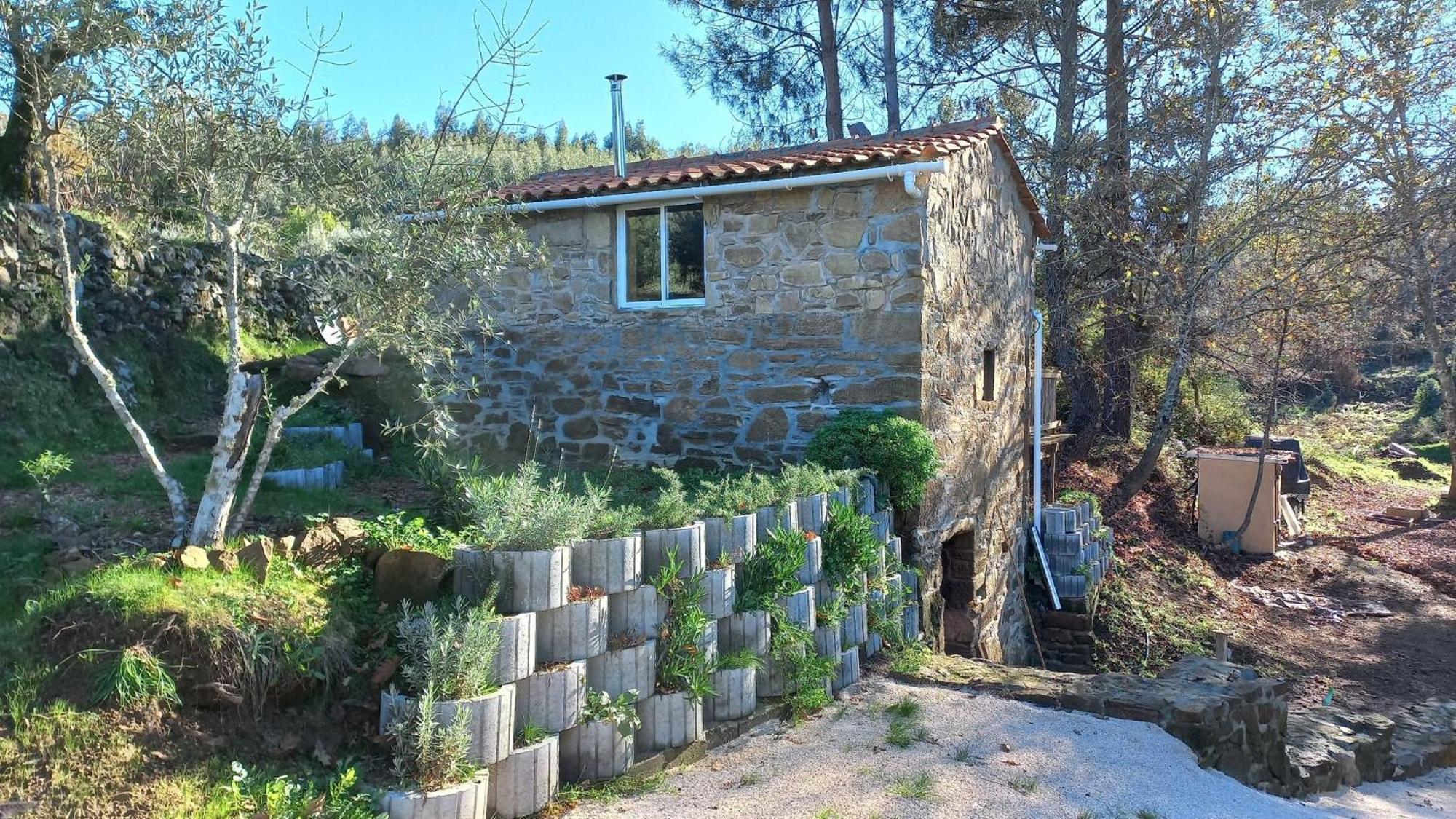 Cabana Do Carvalhal Apartment Pedrógão Pequeno Екстериор снимка
